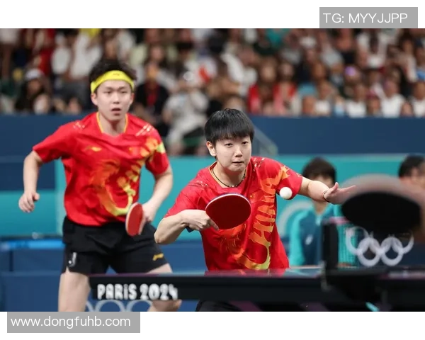 乒乓球团队协作实力排行榜揭晓各国选手表现一览